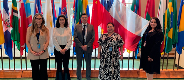 IDE Chile lidera agenda regional de información geoespacial en la Décimo Quinta Sesión del Comité de Expertos de UN-GGIM en Nueva York