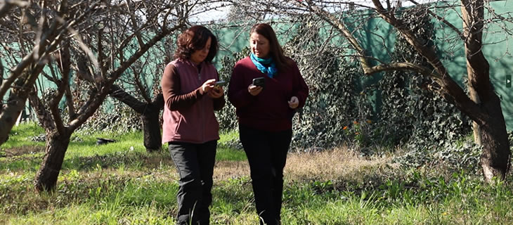 Ciren lanza CampoClick 3.0 con nuevos servicios y convenios para el mundo agrícola 